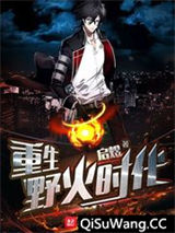 重生野火时代小说