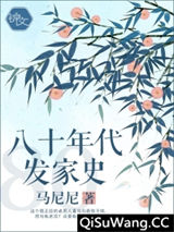 八十年代发家史小说