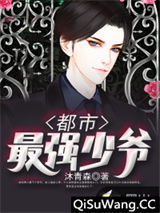 都市最强少爷小说