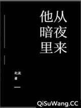 他从暗夜里来小说