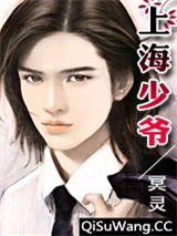 上海少爷小说
