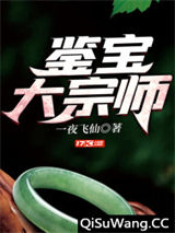 鉴宝大宗师小说