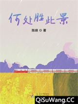 何处胜此景小说