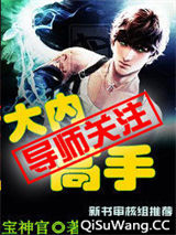大内高手小说