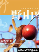 野山枣小说