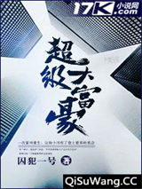 超级大富豪小说