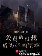 我真的没想成为带明星啊小说