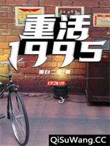 重活1995小说