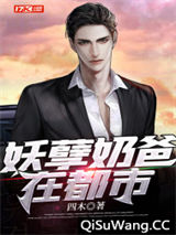 妖孽奶爸在都市小说