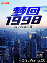 梦回1998小说