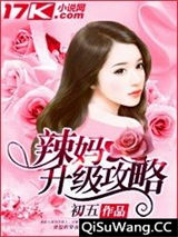辣妈升级攻略小说