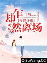 你曾许诺，却乍然离场小说