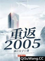 重返2005小说