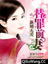 新婚无爱，替罪前妻小说