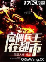 雇佣兵王在都市小说