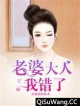 老婆大人我错了小说