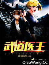 武道医王小说