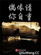 偶像请你自重小说