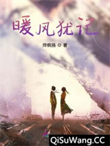 暖风犹记小说