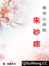 做你心间的朱砂痣小说