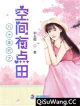 八十年代之空间有点田小说