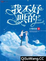 我不好哄的小说