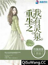 重生之我有灵泉小说