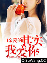 亲爱的，其实我爱你小说