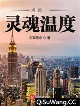 沸腾：灵魂温度小说