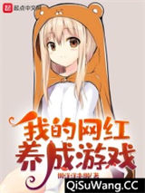 我的网红养成游戏小说