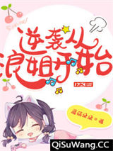 逆袭从浪姐开始小说