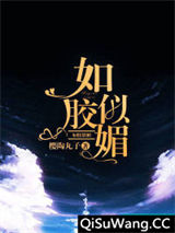 如胶似媚小说