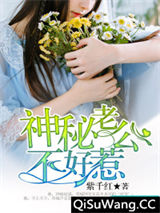 神秘老公不好惹小说