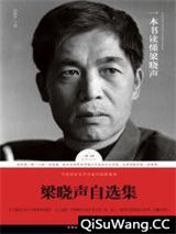 梁晓声自选集小说