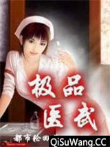 极品医武小说