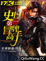 史上第一冒牌高手小说