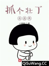 抓个壮丁去选秀小说