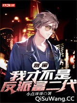 别闹，我才不是反派富二代小说