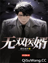 无双医婿小说