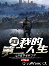 荒岛求生：我的第二人生小说