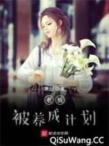 老板被养成计划小说