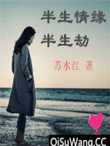 半生情缘半生劫小说