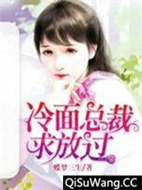 冷面总裁求放过小说