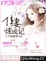 佳妻速成记小说