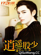 逍遥股少小说