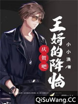 庆贺吧，王婿的降临！小说