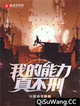我的能力真不刑小说