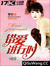 错爱进行时小说