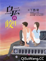 乌云遇皎月小说