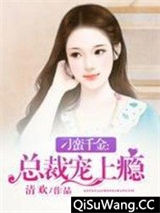 刁蛮千金：总裁宠上瘾小说